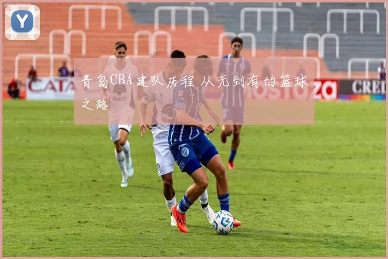 青岛CBA建队历程 从无到有的篮球之路