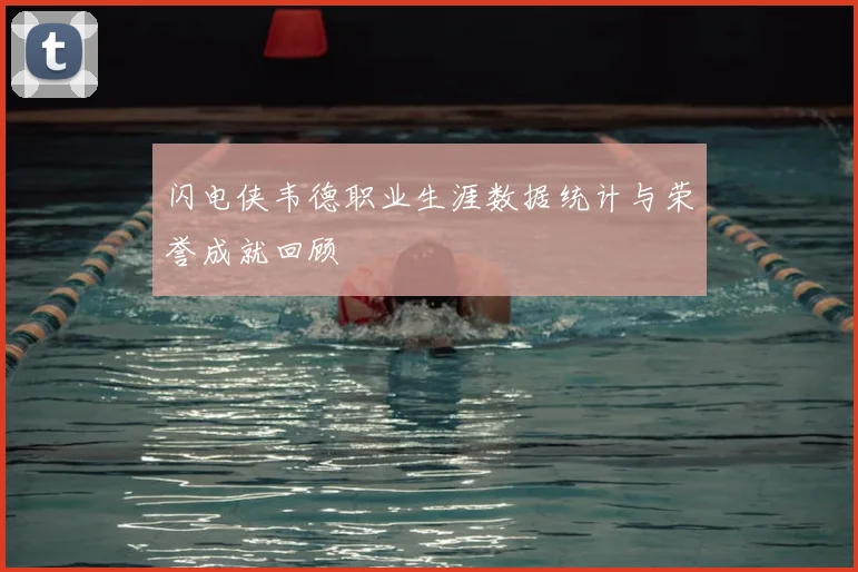 闪电侠韦德职业生涯数据统计与荣誉成就回顾