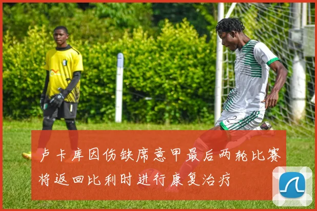 卢卡库因伤缺席意甲最后两轮比赛将返回比利时进行康复治疗