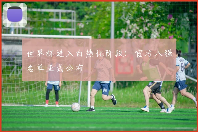 世界杯进入白热化阶段：官方八强名单正式公布