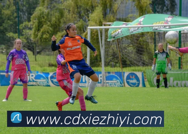 J9集团APP 封面图